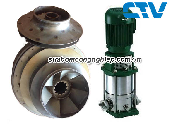 Cánh máy bơm trục đứng Wilo